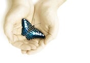 iStock_000001638728XSmall